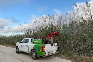 Elche intensifica las fumigaciones contra los mosquitos en todo el término municipal