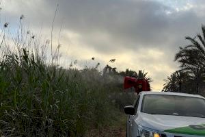 Elche intensifica las fumigaciones contra los mosquitos en todo el término municipal - (foto 2)
