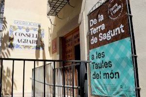 El Ayuntamiento de Sagunto ofrecerá reuniones explicativas sobre la nueva regularización extraordinaria para personas migrantes - (foto 2)