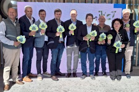 Alicante gana peso en la nueva junta directiva de Alcachofa de España