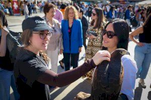 Torrent reúne a cerca de 40 centros en la quinta Fira de la Formació Professional para impulsar el talento y el empleo - (foto 3) Torrent reúne a cerca de 40 centros en la quinta Fira de la Formació Professional para impulsar el talento y el empleo - (foto 3)