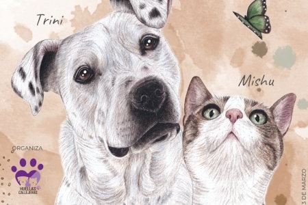 Castellón busca un futuro para los animales rescatados con el XI Festival de la Adopción y el VII JOC Fest