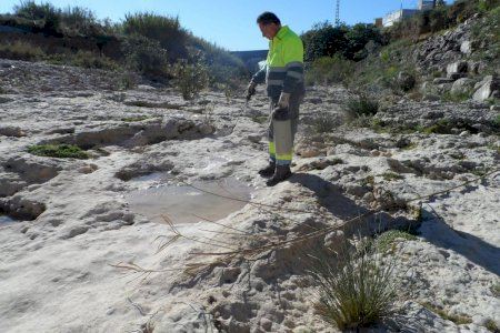 L’Ajuntament de Vinaròs inicia la campanya de control de mosquits amb reforç de la vigilància i coordinació institucional