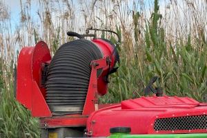 Elche refuerza la fumigación contra los mosquitos: estas son las zonas donde actuarán - (foto 3)