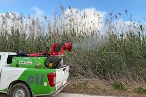 Elche refuerza la fumigación contra los mosquitos: estas son las zonas donde actuarán - (foto 2)