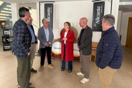 Marián Cano estrecha la colaboración con la Denominación de Origen Protegida de Vinos de Alicante para el enoturismo en la provincia