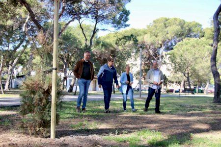 Castellón inicia los trabajos para la plantación de 50 nuevos árboles en El Pinar del Grao tras los últimos temporales de viento