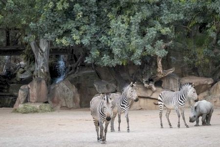 BIOPARC apela al poder de las personas para proteger el planeta en el Día de la Tierra