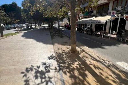 Orihuela licita la mejora integral de la Glorieta Gabriel Miró para reforzar la seguridad, renovar zonas verdes y recuperar su imagen urbana