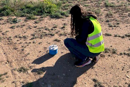 Un municipi d'Alacant estudia el seu sòl per a preparar-se davant possibles terratrémols