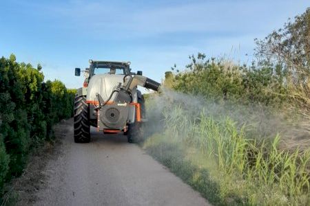 Cullera intensifica la lucha contra el mosquito tigre con nueva maquinaria