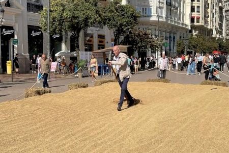 La Concejalía de Agricultura y la D.O. Arròs de València celebran la X edición del TastArròs