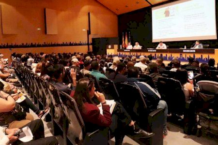 Benidorm registra más de 1.100 solicitudes del certificado de vulnerabilidad de migrantes para la regularización extraordinaria