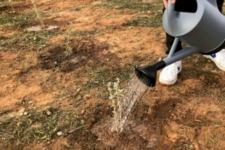 Medio Ambiente pone en marcha en Orihuela una convocatoria de subvenciones para proyectos sostenibles