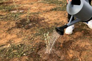 Medio Ambiente pone en marcha en Orihuela una convocatoria de subvenciones para proyectos sostenibles