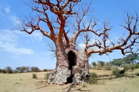Una investigación explica cómo la sequía, las inundaciones y la degradación de ecosistemas provocan la migración en Marruecos y Senegal