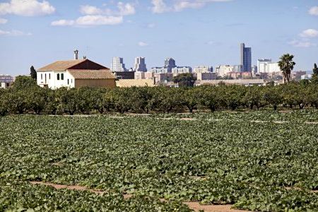 València debatirá la adaptación del PGOU al Plan de la Huerta para recuperar las alquerías y dinamizar la huerta degradada