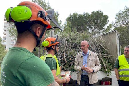 La Concejalía de Devesa-Albufera intensifica la prevención de incendios y retira más de 118 toneladas de restos vegetales