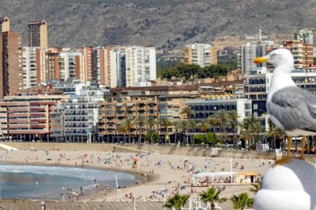 Benidorm destina 56.000 euros a ayudas para fomentar el empleo en las asociaciones empresariales de la ciudad