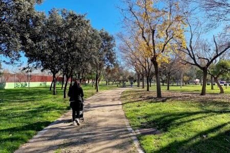 Mislata intensifica los trabajos de control y prevención de plagas en todo el municipio