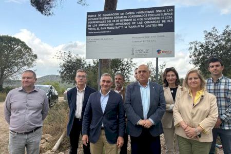 Castellón lidera el relevo generacional agrario con 158 nuevas incorporaciones y 8,35 millones de inversión
