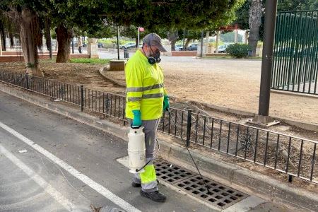 L’Ajuntament d’Algemesí continua amb les actuacions de prevenció davant la possible aparició del mosquit tigre
