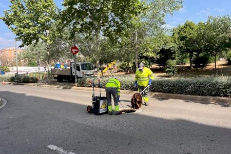 El Ayuntamiento de la Vall d’Uixó inicia una campaña intensiva contra roedores e insectos