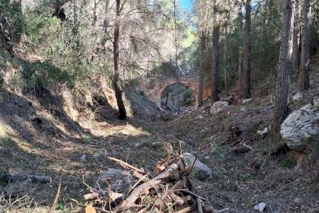 El Ayuntamiento de Altea realiza una inversión récord de más de 100.000 € en prevención de incendios y mejora del entorno forestal