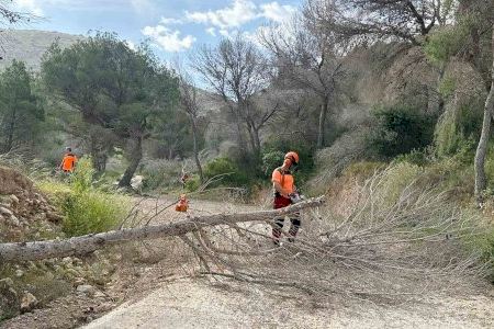 La Generalitat extiende al término municipal de Benidorm la retirada de pinos secos en el Parque Natural de Serra Gelada