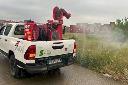 Carcaixent refuerza los tratamientos de control y prevención del mosquito tigre y la mosca negra