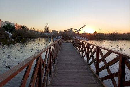 El concurso que busca el rincón más especial de Nules y puede llevar una foto local a un premio nacional