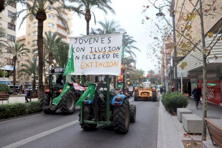 ASAJA Alicante urge aumentar el presupuesto de las ayudas de primera instalación para no excluir a ningún joven de la provincia ASAJA Alicante urge aumentar el presupuesto de las ayudas de primera instalación para no excluir a ningún joven de la provincia