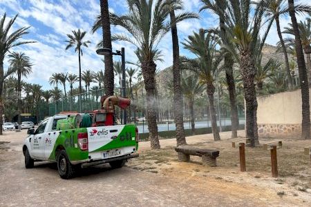 Orihuela refuerza el control de mosquitos con nuevos planes y campañas