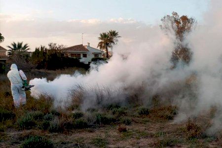 El Ayuntamiento de Sagunto intensifica el saneamiento y el control de plagas ante la llegada del calor