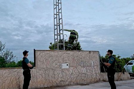 VÍDEO | Una finca de Almassora escondía un “bosque” de marihuana, dinero en efectivo y una sorpresa entre los animales