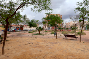 Novelda destinará cerca de 412.000 euros del remanente de tesorería a mejoras en cultura, deporte, parques y alumbrado - (foto 2)