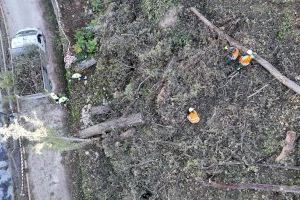 Alcoy celebra el Día de Europa reivindicando su transformación hacia una ciudad más verde, accesible y humana - (foto 2)