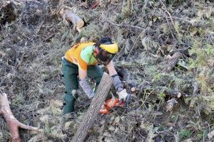 Alcoy celebra el Día de Europa reivindicando su transformación hacia una ciudad más verde, accesible y humana - (foto 3)