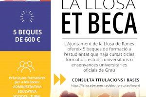 La Llosa de Ranes vuelve a apostar por el talento joven con 5 becas para ofrecer experiencia laboral a estudiantes