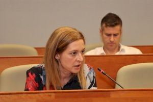 Vox: "PP, PSOE, Compromís-Podem-EU y el edil no adscrito rechazan priorizar a españoles en ayudas en Torrent" - (foto 2)