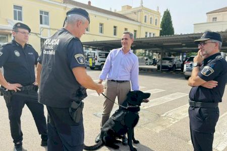 Castellón activa una campaña de prevención y control de drogas en entornos escolares