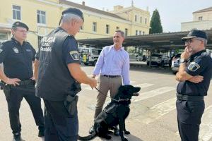 Castellón activa una campaña de prevención y control de drogas en entornos escolares