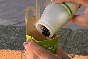 Albal refuerza su apuesta por el control biológico de plagas con nuevos tratamientos en el arbolado urbano - (foto 3)