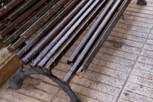 El PP de Alzira denuncia "caos" en el mantenimiento urbano y exige actuaciones inmediatas ante el deterioro de la vía pública - (foto 2)