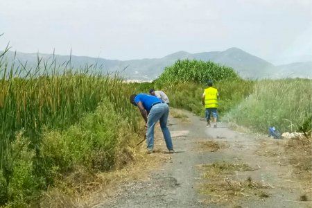 El Ayuntamiento de Almenara impulsará la contratación de 20 personas a través del programa de empleo agrario