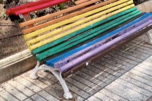 El PP de Alzira denuncia "caos" en el mantenimiento urbano y exige actuaciones inmediatas ante el deterioro de la vía pública - (foto 3)