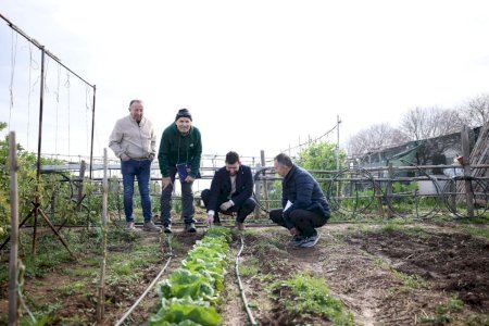 Burriana adecua los Huertos de Ocio para potenciar el envejecimiento activo y la agricultura tradicional