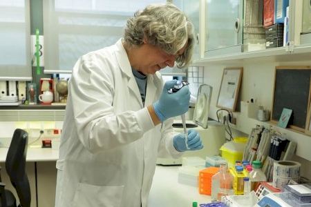 Un estudio liderado por la UV destaca la eficacia de los antioxidantes para tratar la enfermedad pulmonar obstructiva crónica