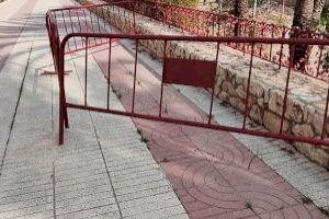 El PP de Alzira denuncia "caos" en el mantenimiento urbano y exige actuaciones inmediatas ante el deterioro de la vía pública - (foto 4)