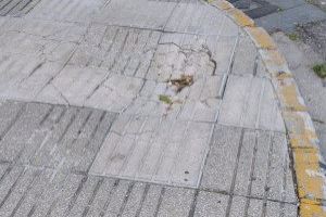 El PP de Alzira denuncia "caos" en el mantenimiento urbano y exige actuaciones inmediatas ante el deterioro de la vía pública - (foto 5)